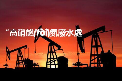 “高硝態(tài)氮廢水處理，綠色環(huán)保新篇章”